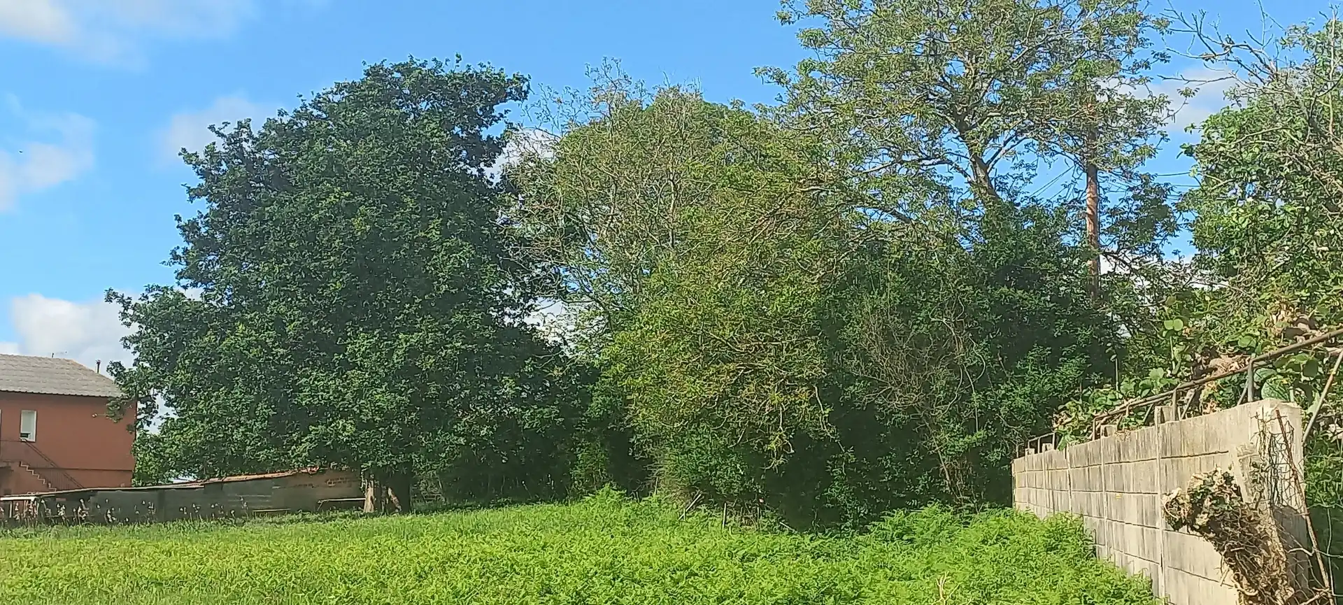 Terreni e lotti in vendita a Pombo, imagen 10