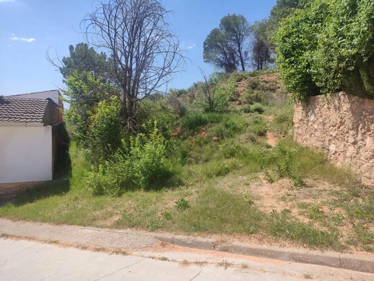 Lands and plots for sale in Avenida Madrid Valencia