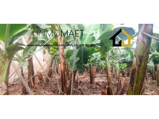 Terreno en Venta en Los Silos