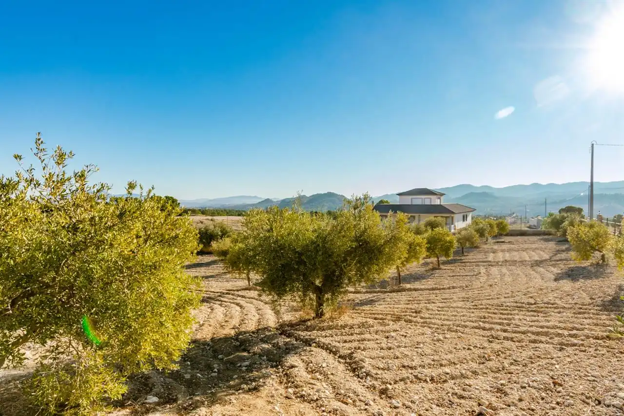Houses for sale in Lorca  with Private garden, Storage room and Furnished