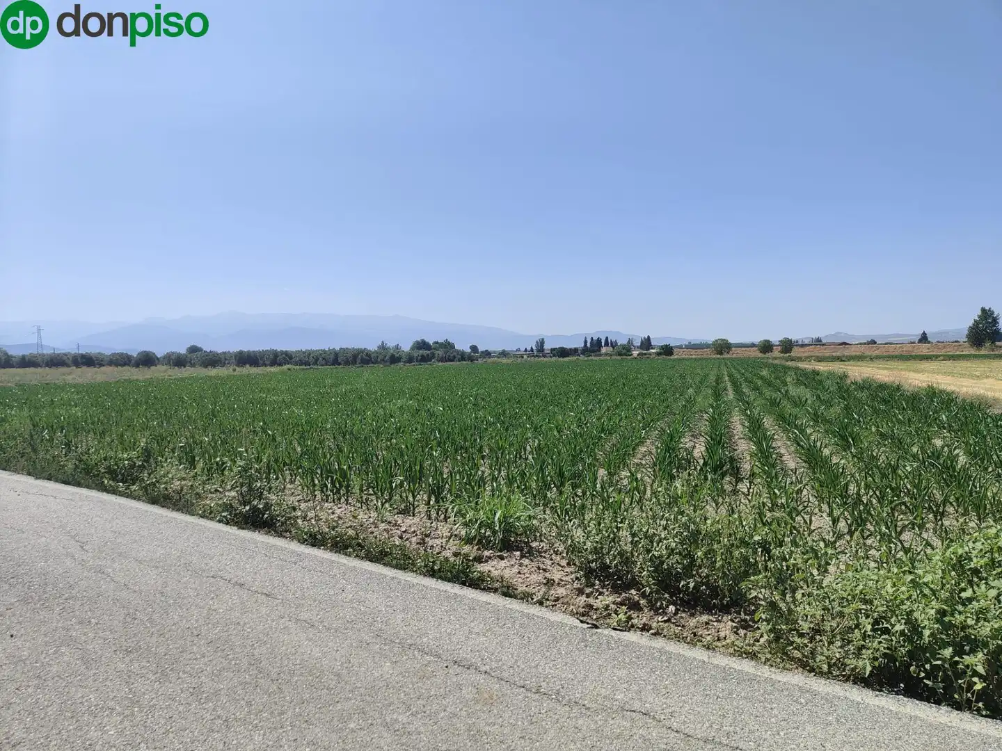 Terreni e lotti in vendita a Carretera Carretera de Pinos Puente, imagen 5