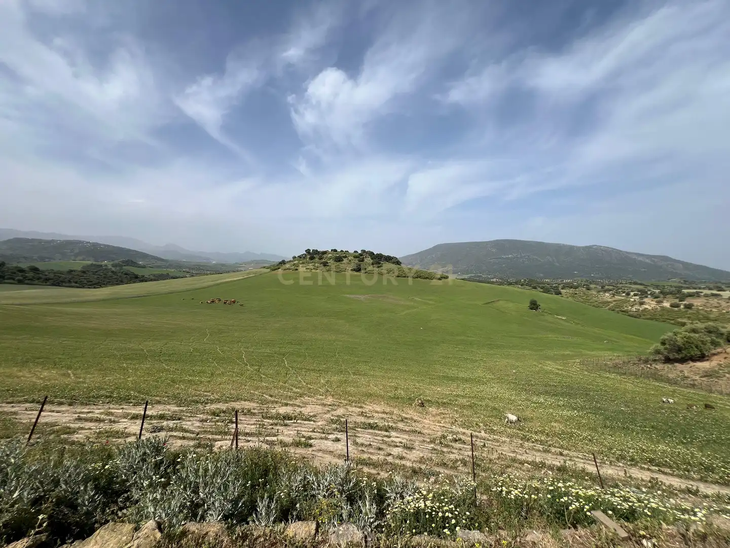 Casa in vendita a Olvera, Spain Polígono 24 Parcela 159 - La Mota, imagen 23