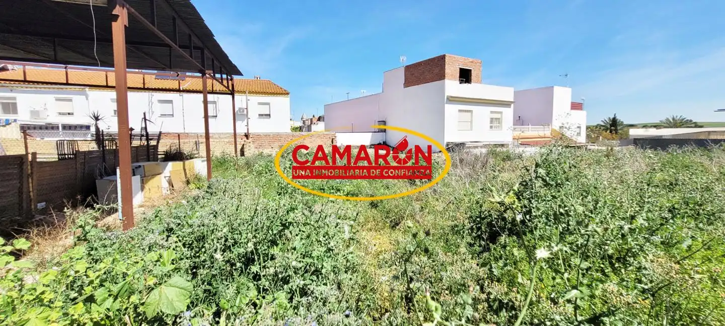 Lands and plots for sale in Palomares del Río, imagen 4