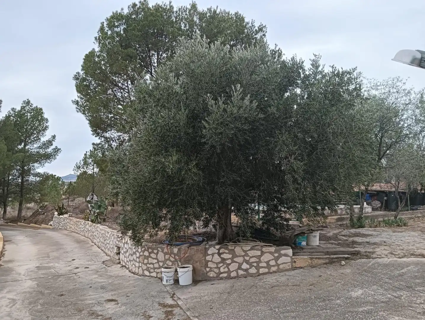 Casa en venda a Lorca Ciudad, imagen 62