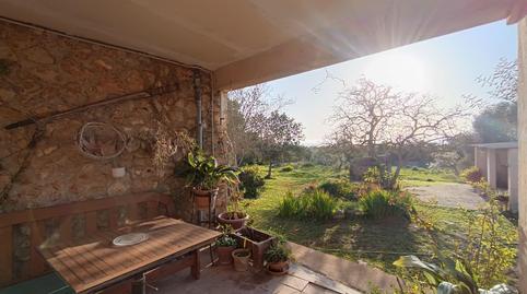 Foto 5 de Finca rústica en venda a Pòrtol, Marratxí