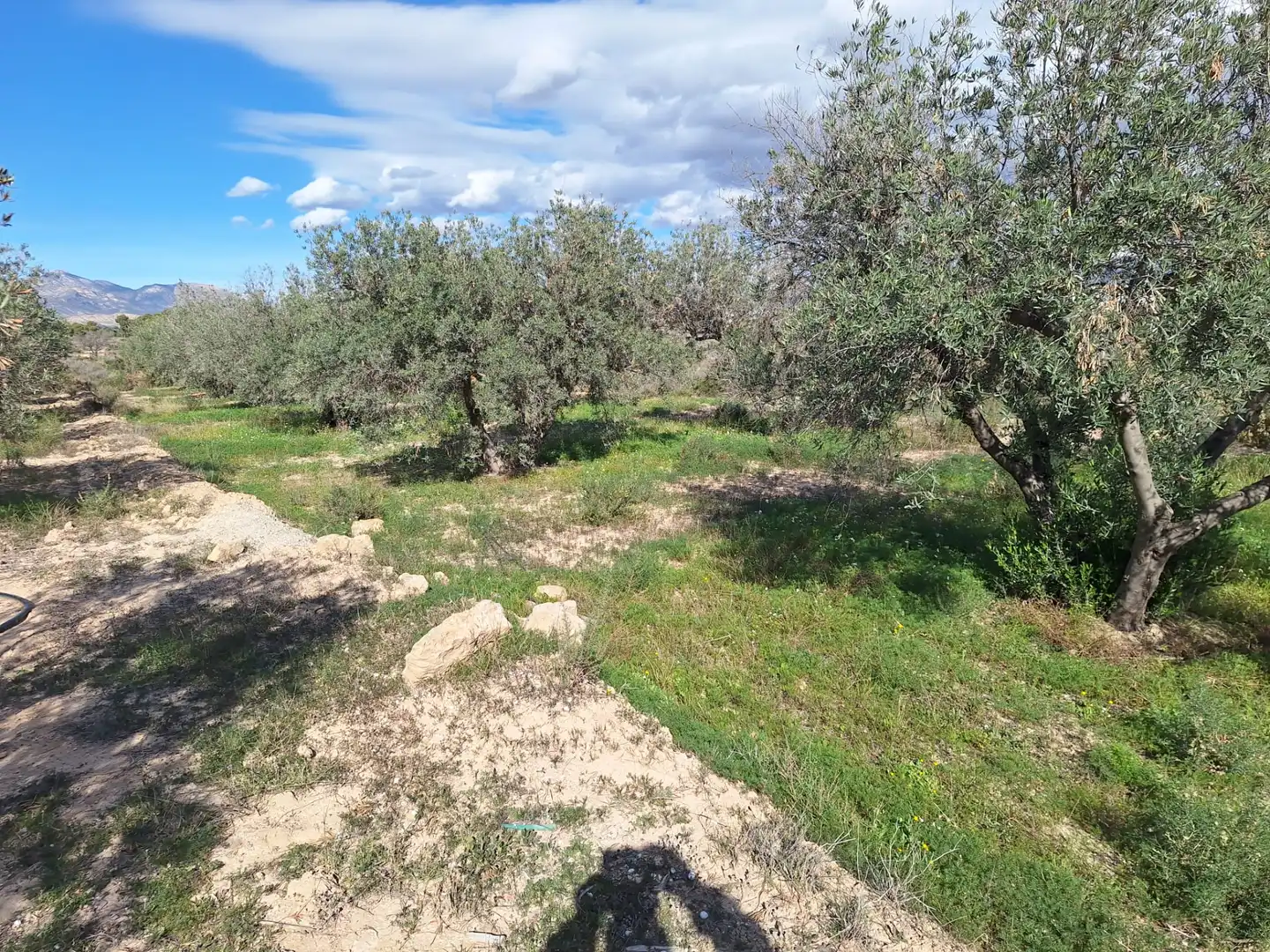 Finca rústica en venta en Alicante / Alacant con Trastero
