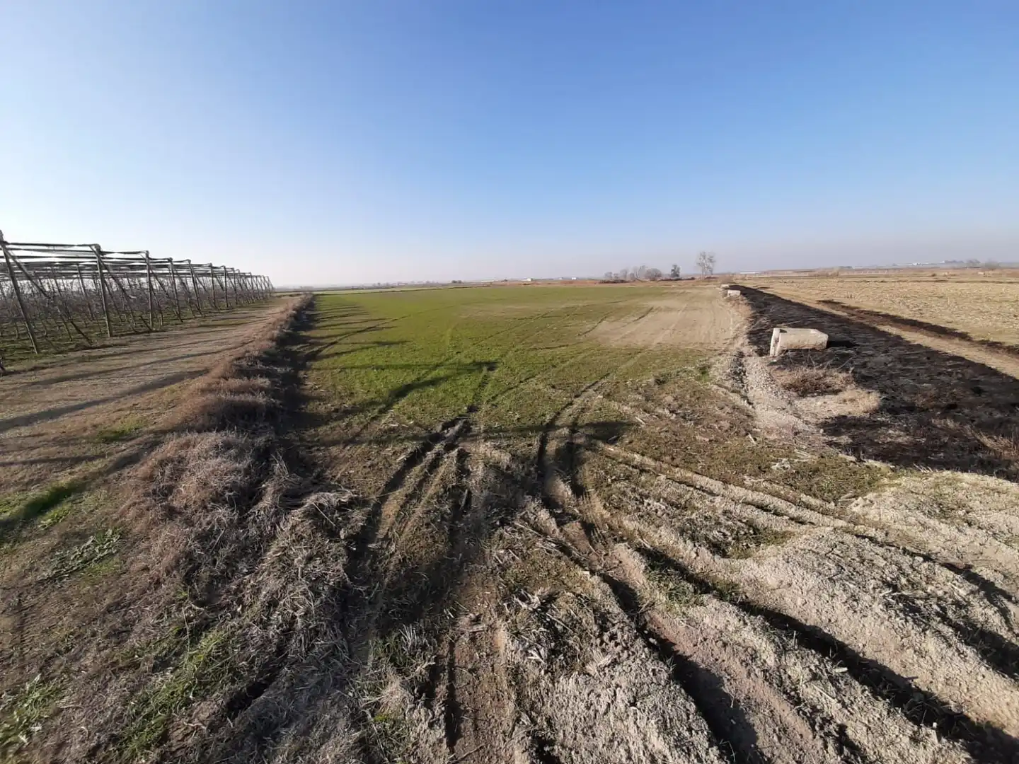 Rural land for sale in Avinguda Balaguer 1981, imagen 11