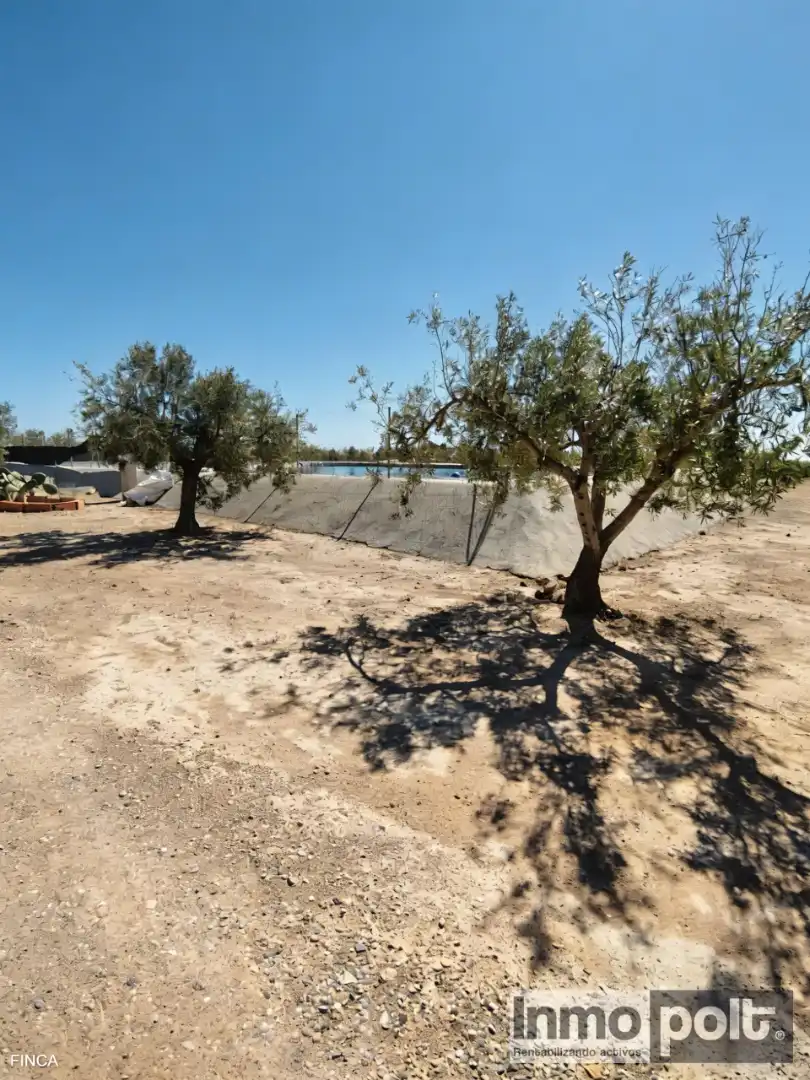 Country house zum Verkauf in Calle Fuente Alamo de Murcia (0x6d0b0ace493fa715 1, Jerónimo y Avileses