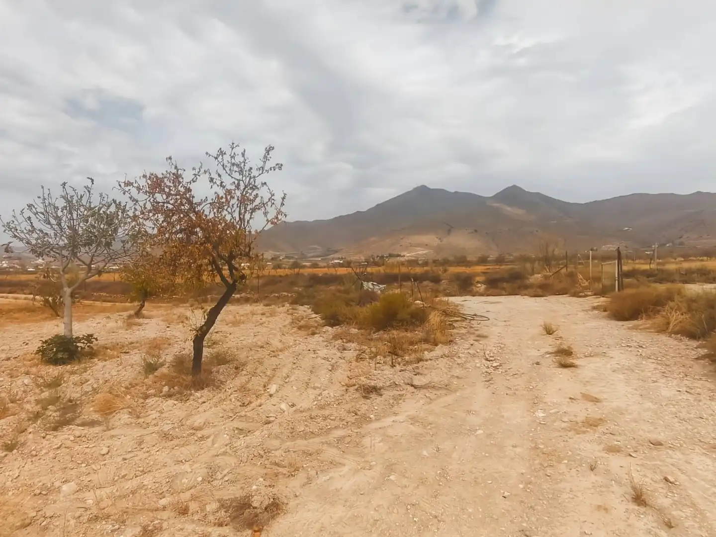 Rustikales Grundstück zum Verkauf in Uleila del Campo, imagen 5