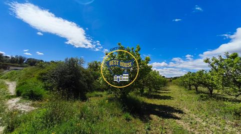 LOTE DE PARCELAS DE TERRENO EN PRODUCCIÓN DE FRUTALES CON 54.441m2 A SU DISPOSICIÓN EN AGULENT, immagine 5