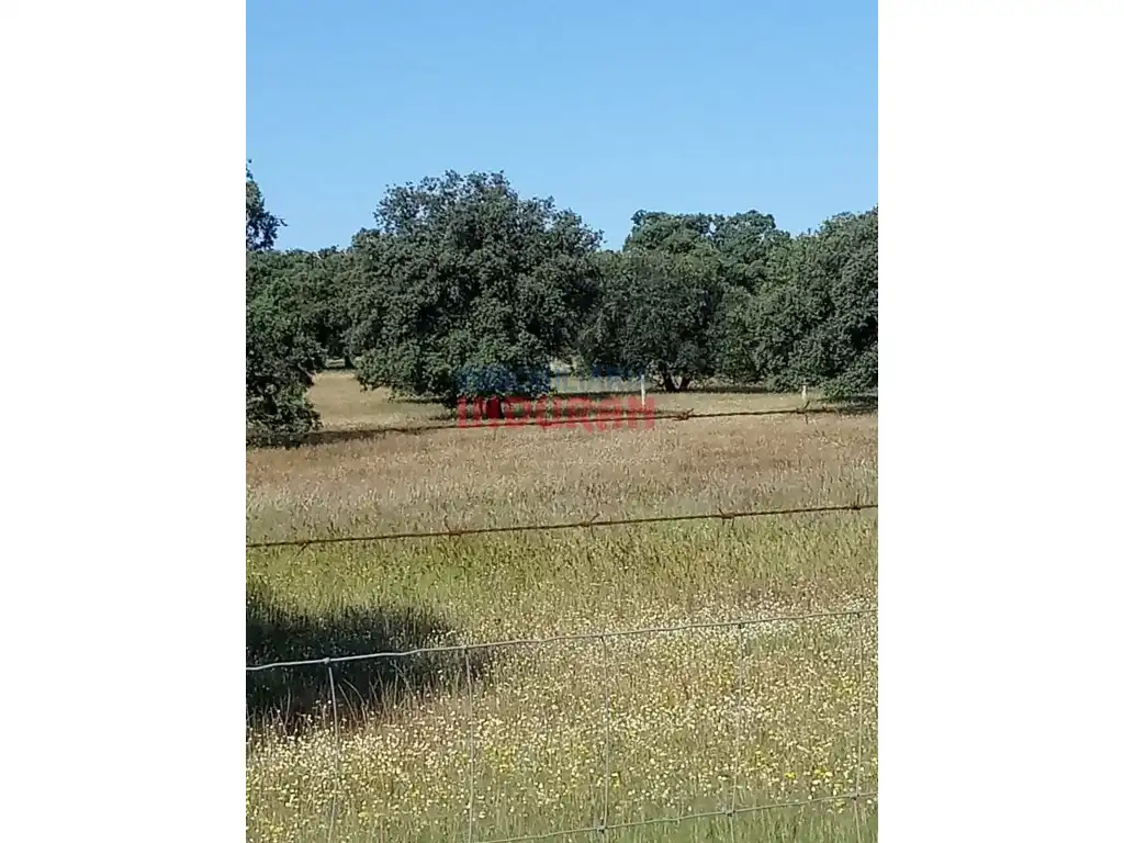 Finca rústica en venda en Alcolea de Tajo