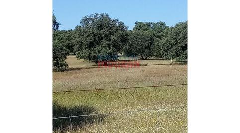 Photo 3 of House or chalet for sale in Alcolea de Tajo, Toledo