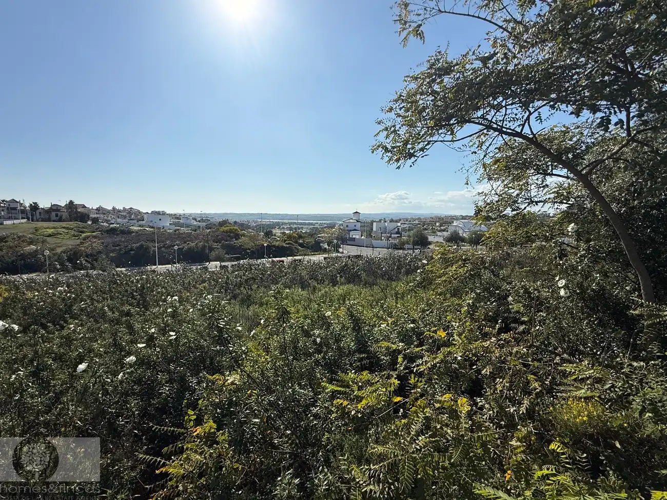 Lands and plots for sale in Avenida Rosalía de Castro 1903