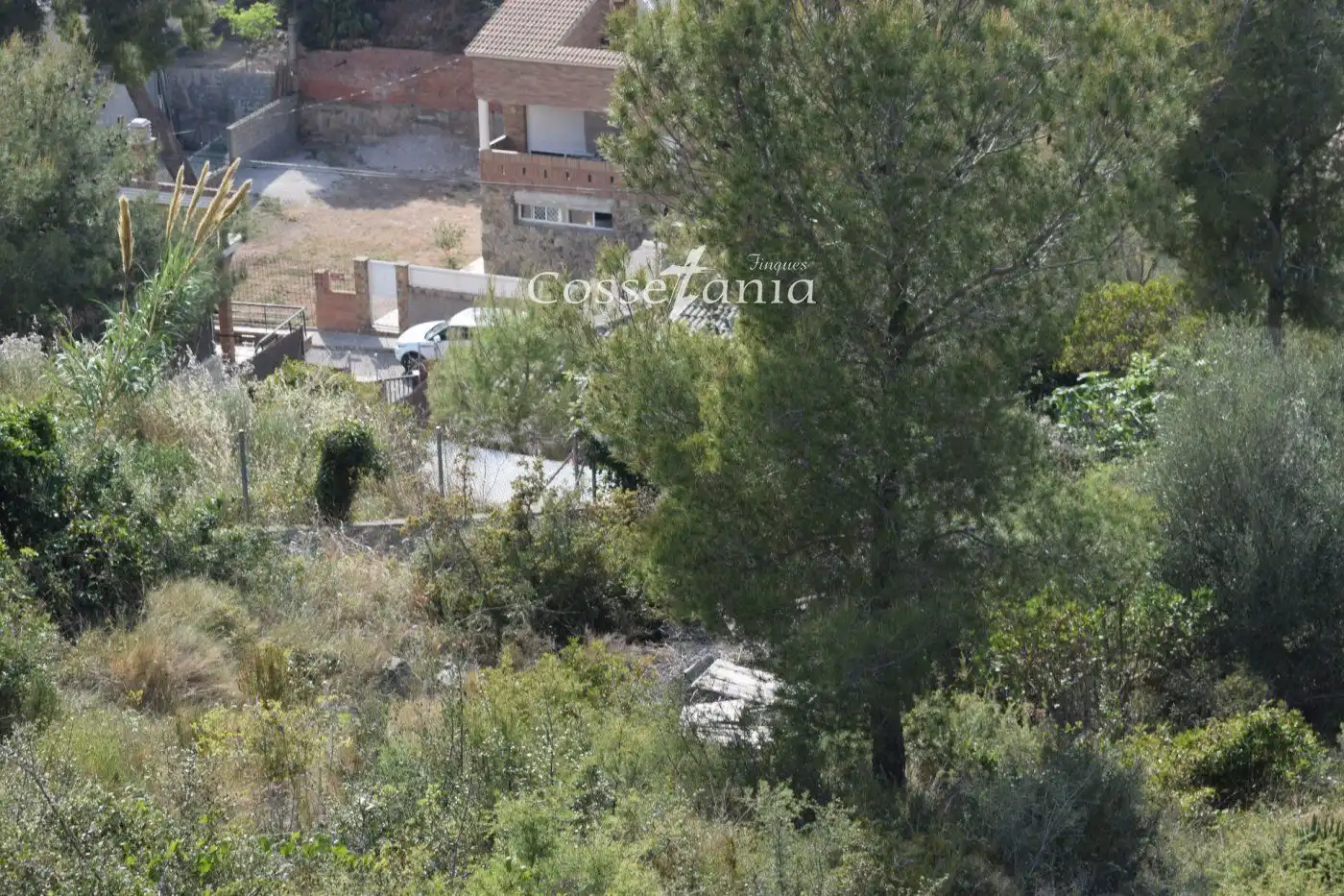 Terrain rustique à vendre à SANTA MARIA DE MONTSERRAT, imagen 6