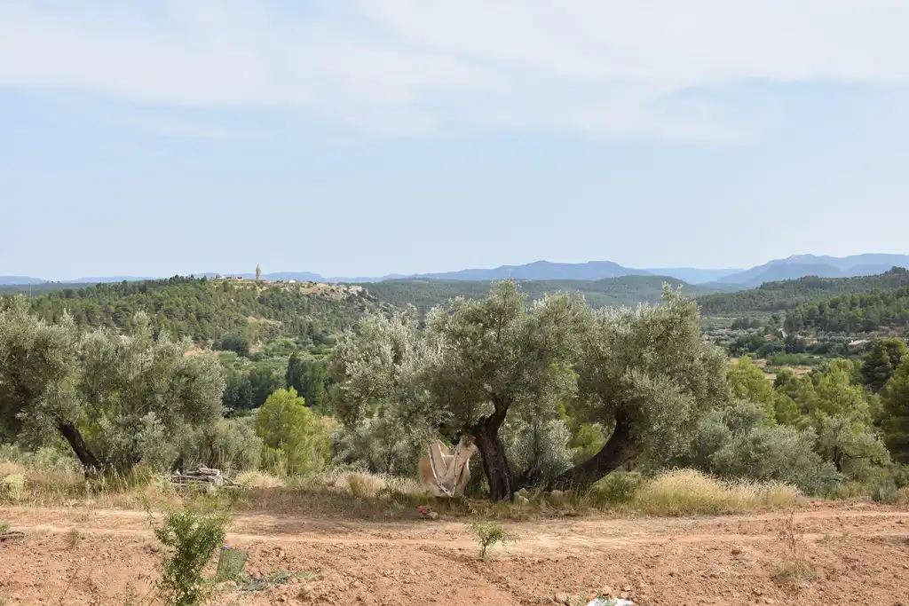 Terreni e lotti in vendita a La Fresneda, imagen 5