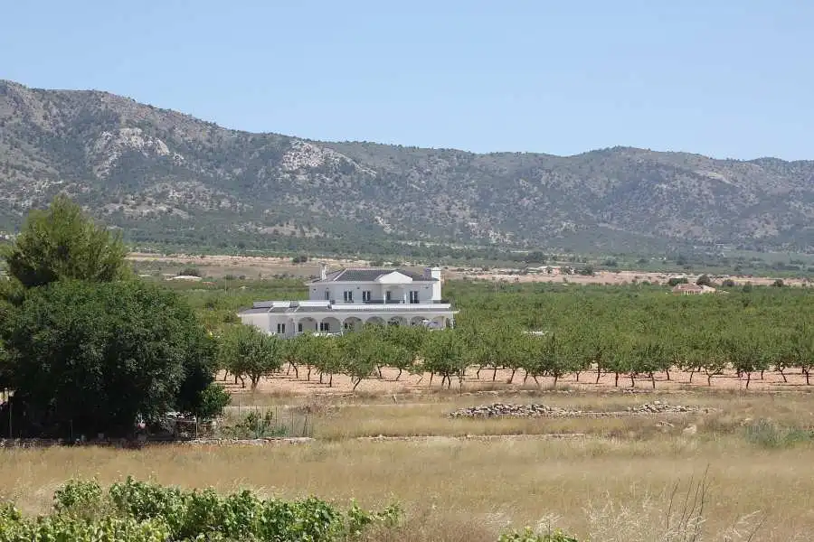Haus zum Verkauf in El Pinós / Pinoso, imagen 5