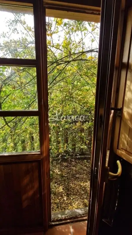 Garden of Detached homes for sale in Zeberio  with Heating and Furnished