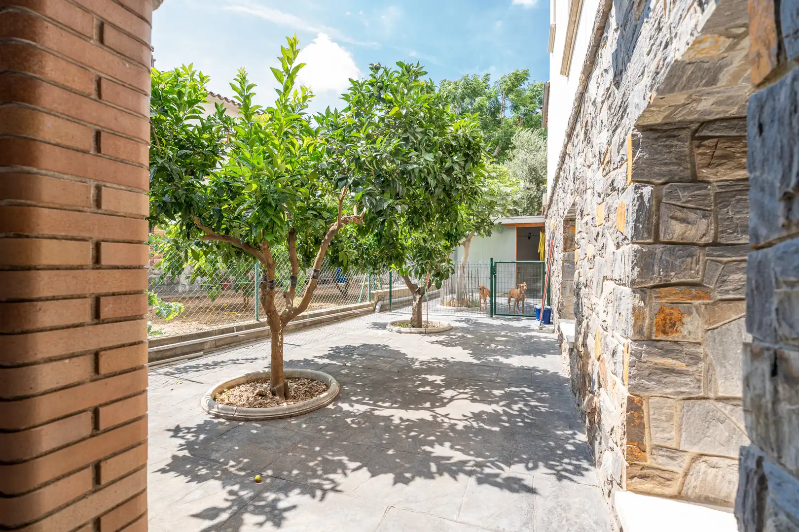 Casa con terraza en venta en Avinguda de la Mare de Déu del Carme, imagen 26