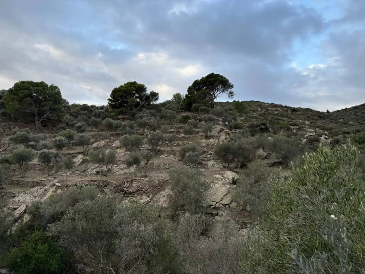 Rural land for sale in Cadaqués, imagen 16