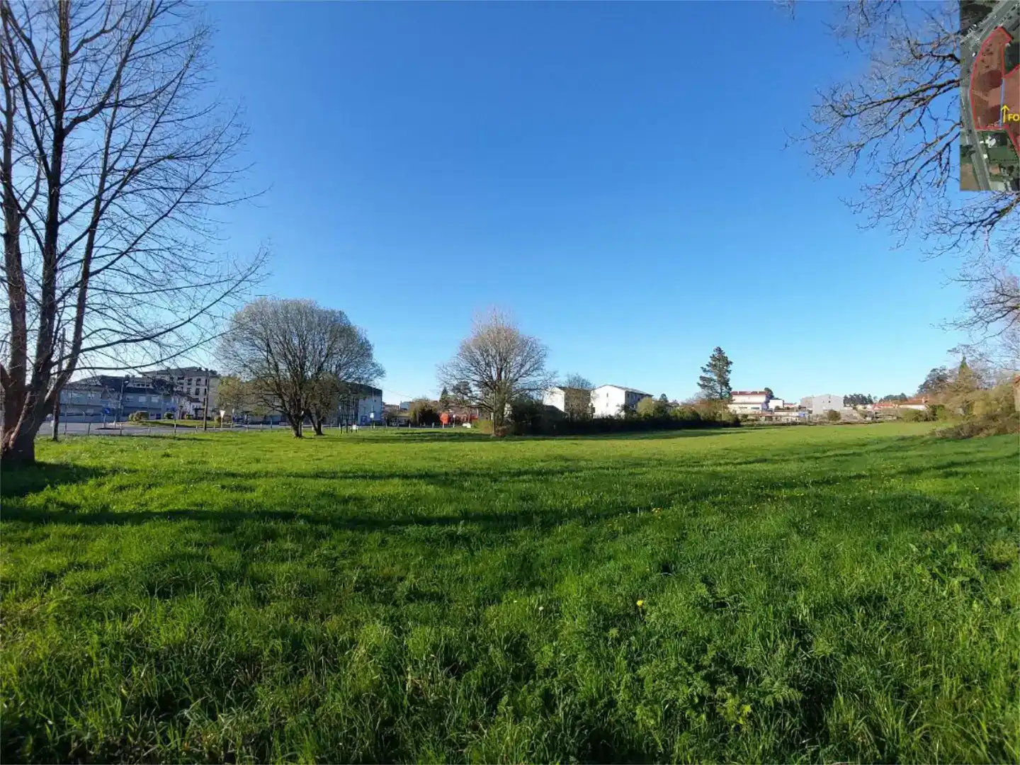 Land for sale in Curtis