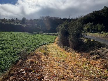 Terreno rústico en venta en Palo Blanco