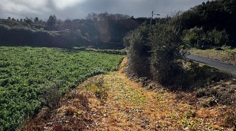 F0035 FINCA  RUSTICA