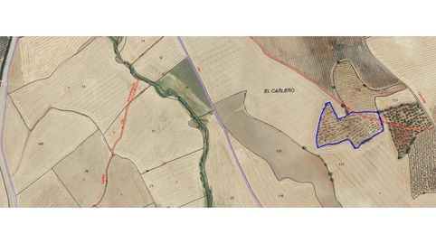 Terreno en venta en Carmona, immagine 5