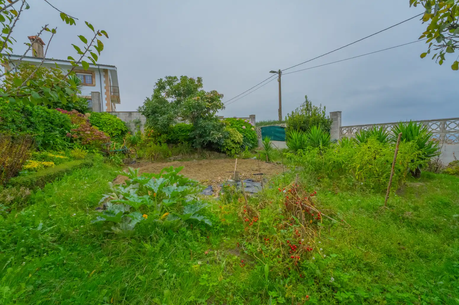 Houses for sale in Cueto
