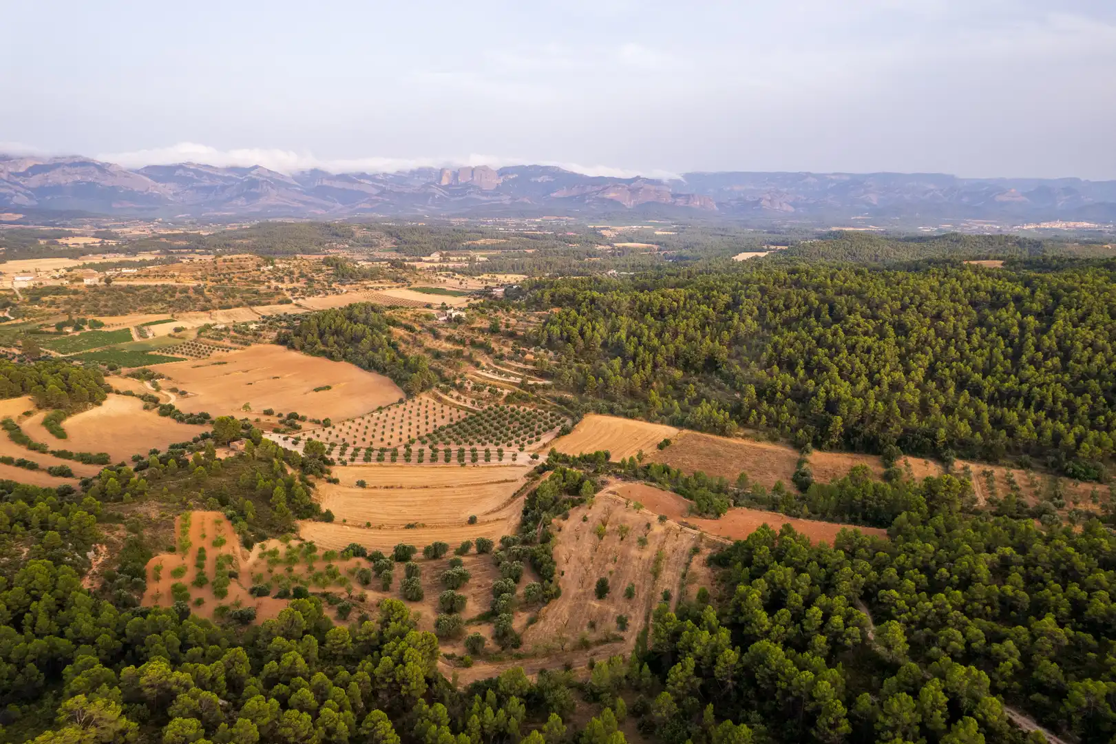 Rural land for sale in Lledó, imagen 23