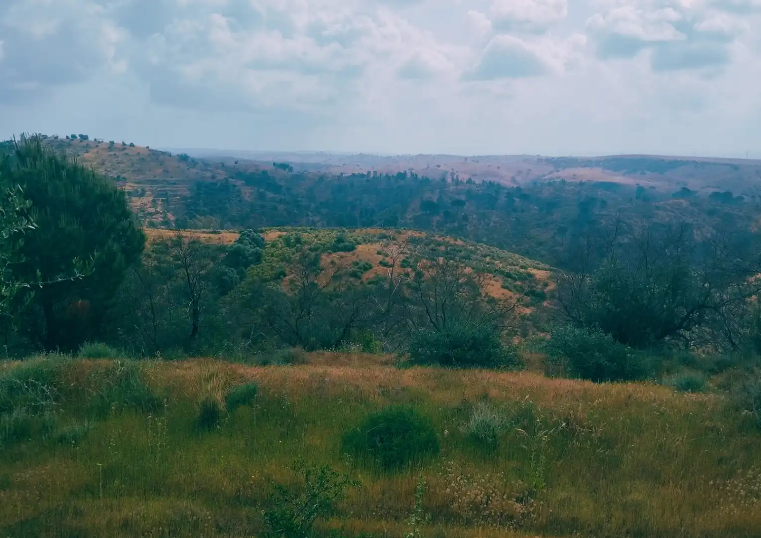 Finca rústica en venta en La Palma del Condado con Jardín privado, Terraza y Trastero
