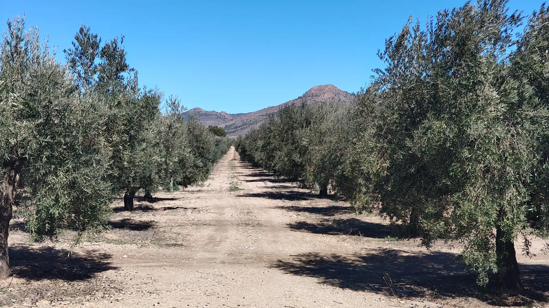 Terrenys i solars en venda a Calle Baja, imagen 6