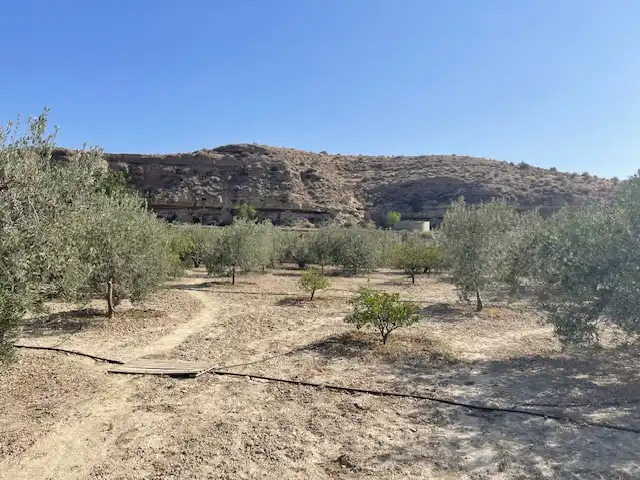 Land for sale in Pechina