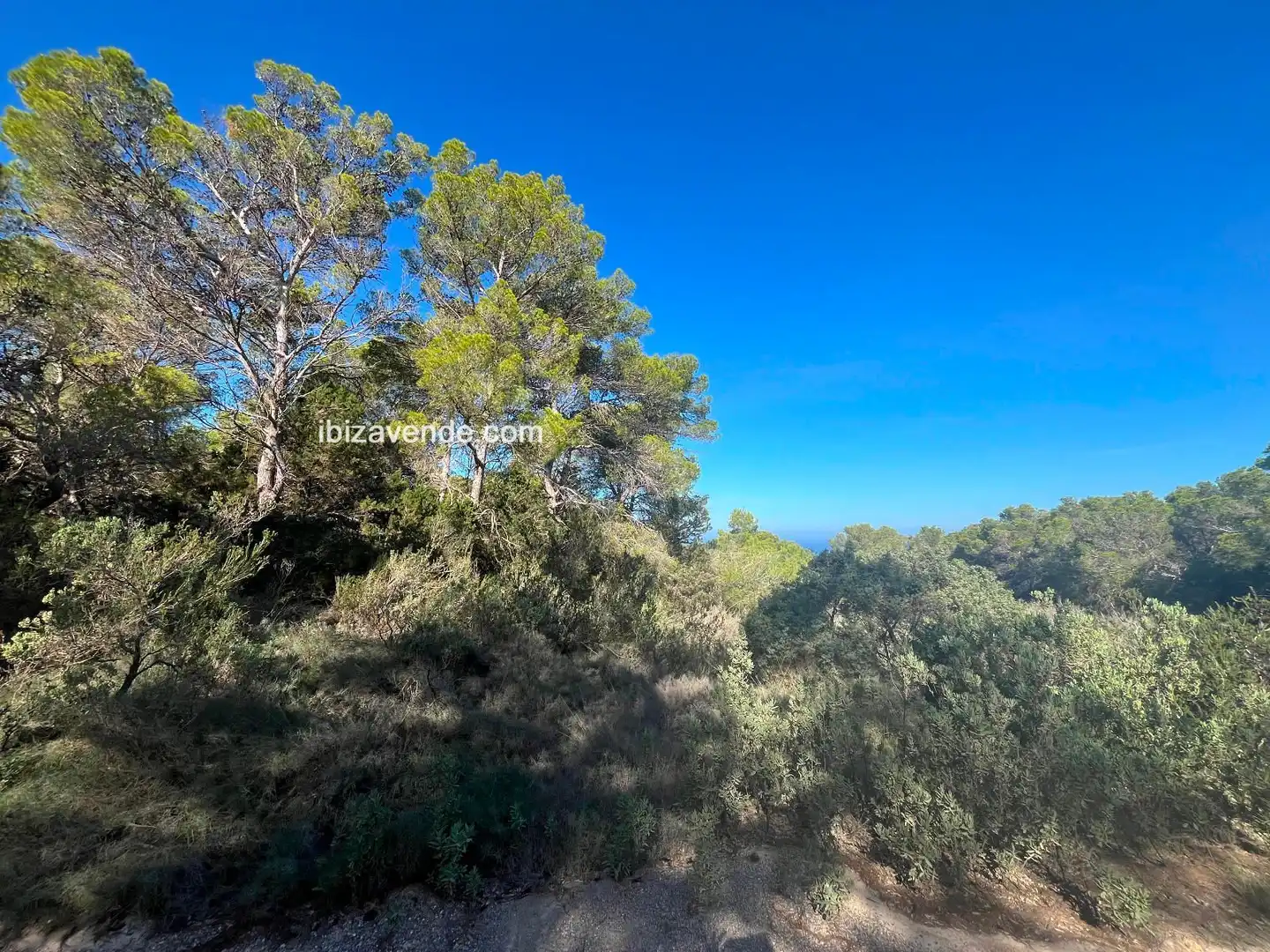 Terreno en venta en de Cala d'Hort, Es Cubells