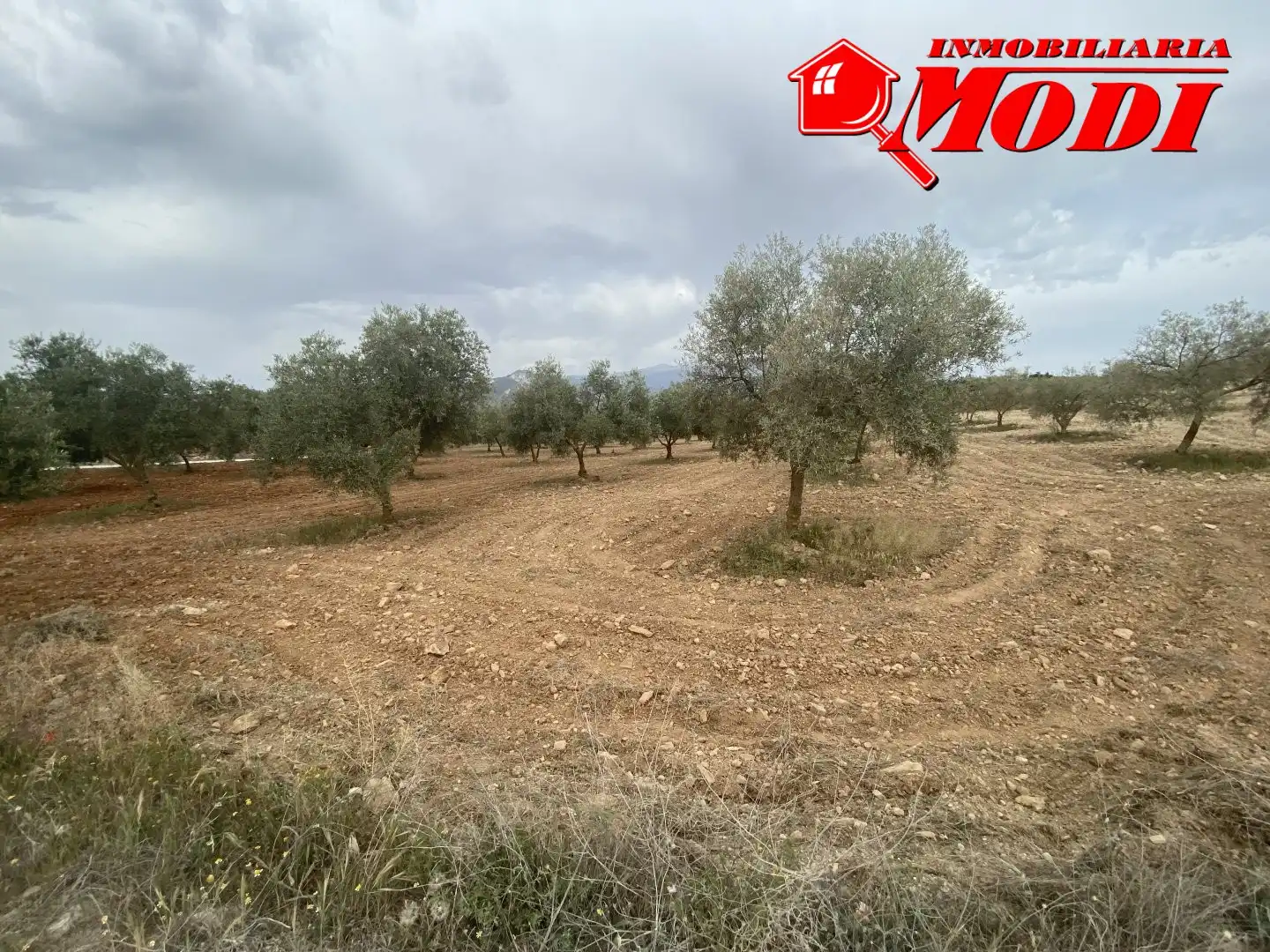 Terrenys i solars en venda a Padul, imagen 19