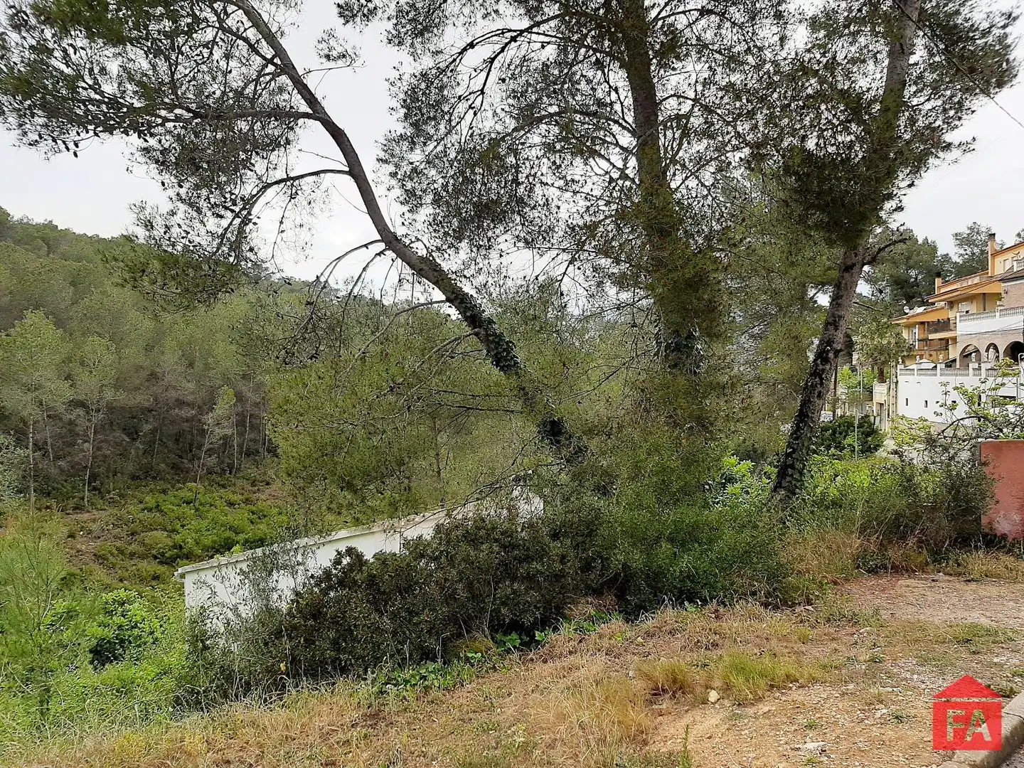 Terreno rustico in vendita a La Bisbal del Penedès, imagen 2
