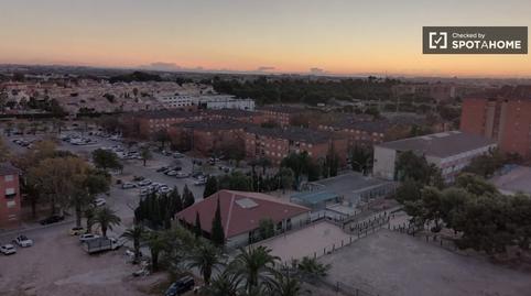 Photo 5 of Flat to share in Sotolivar - Mas del Rosari, Valencia