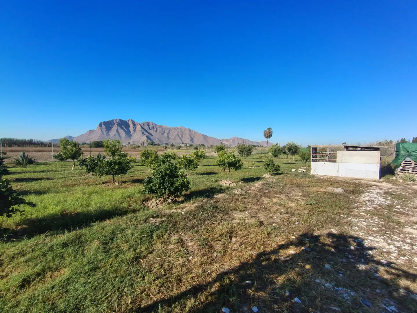 Country house for sale in Calle Doctor Ramón y Cajal, imagen 6