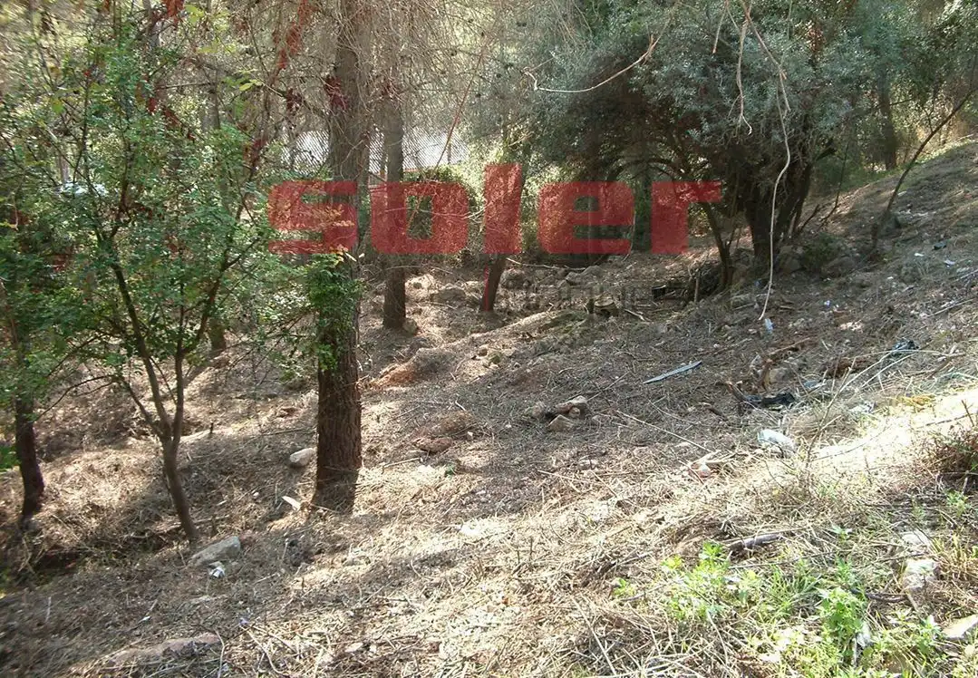 Terreni e lotti in vendita a La Palma de Cervelló, imagen 9