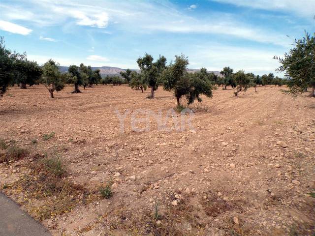 Terreno en Venta en Biar