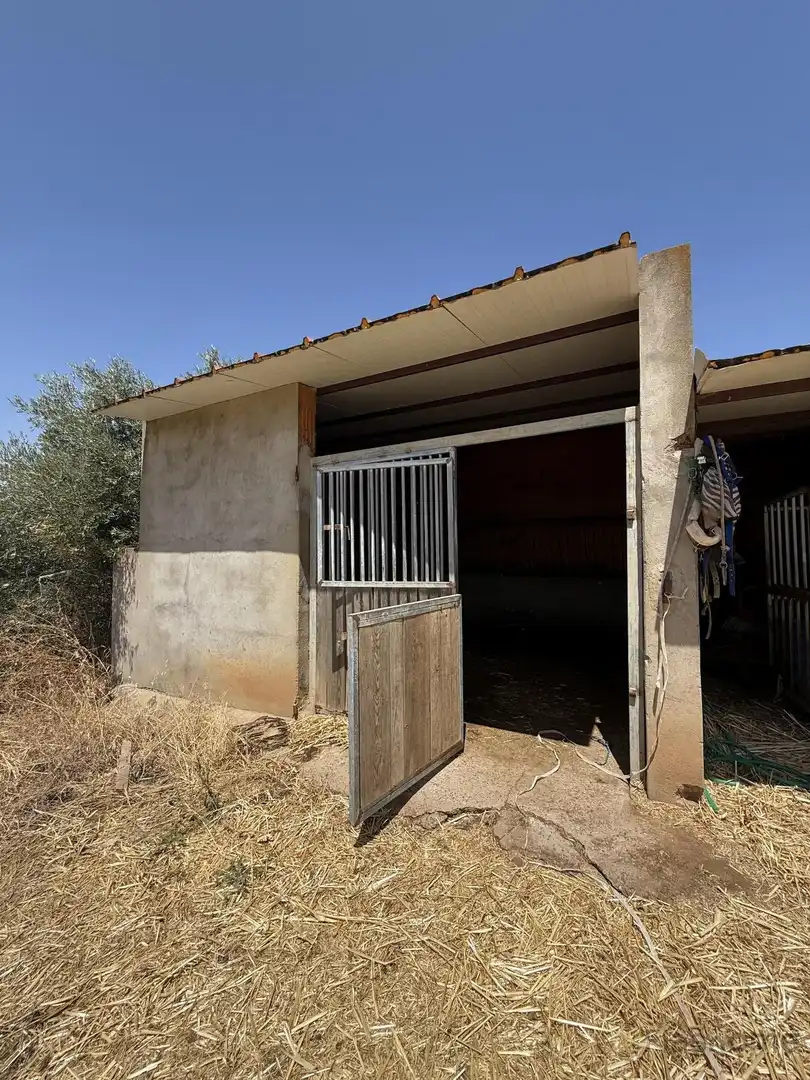 Vista exterior de Finca rústica en venta en San Pedro de Mérida con Amueblado
