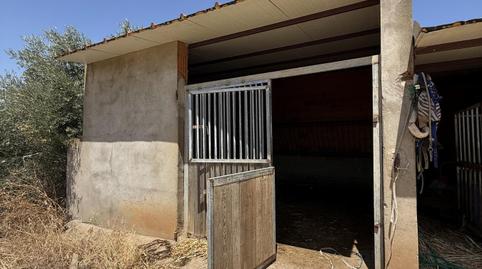 Photo 5 of Country house for sale in San Pedro de Mérida, Badajoz