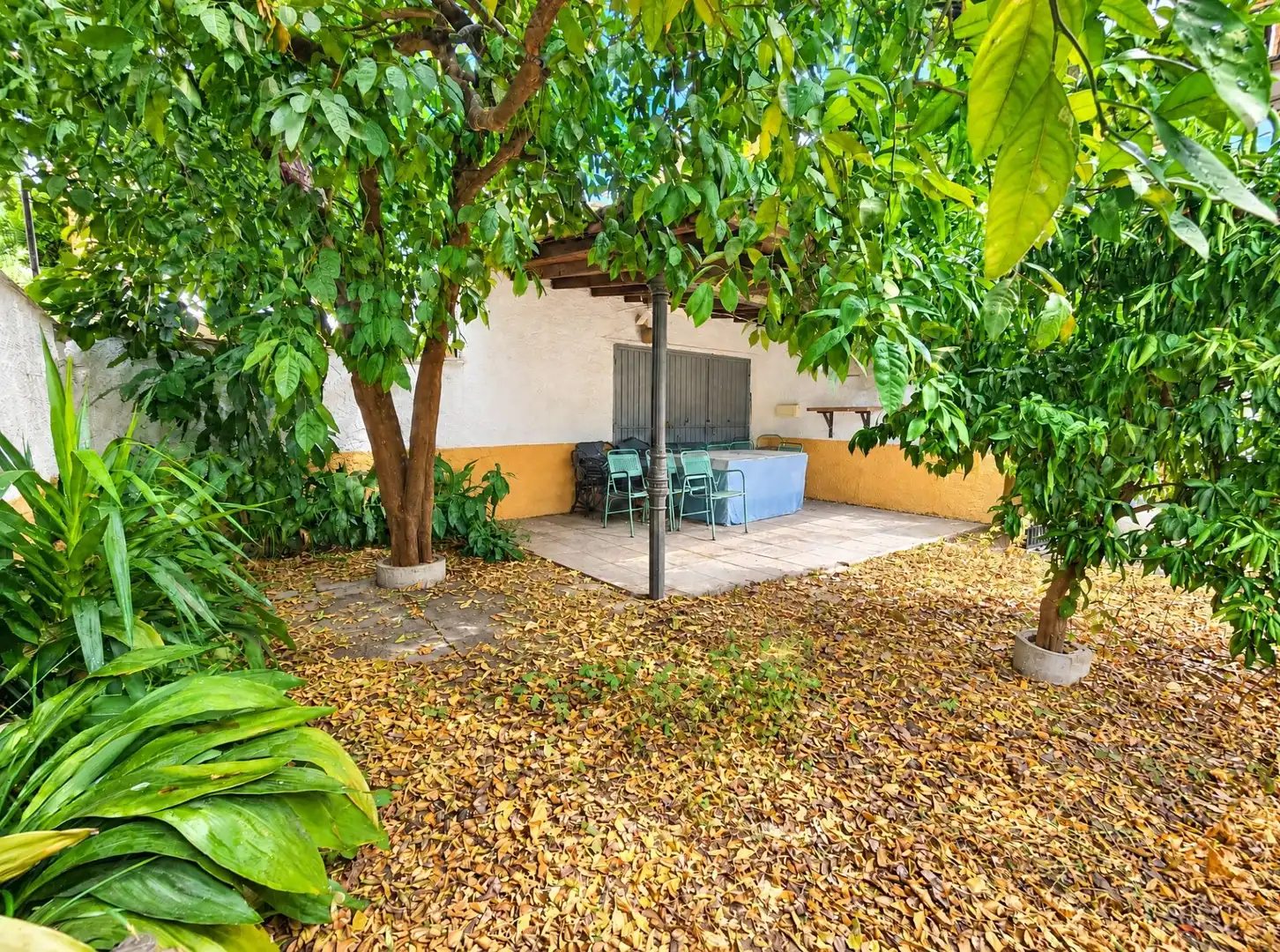 Maison mitoyenne avec terrasse à vendre à Avenida Avenida Ramón y Cajal, imagen 6