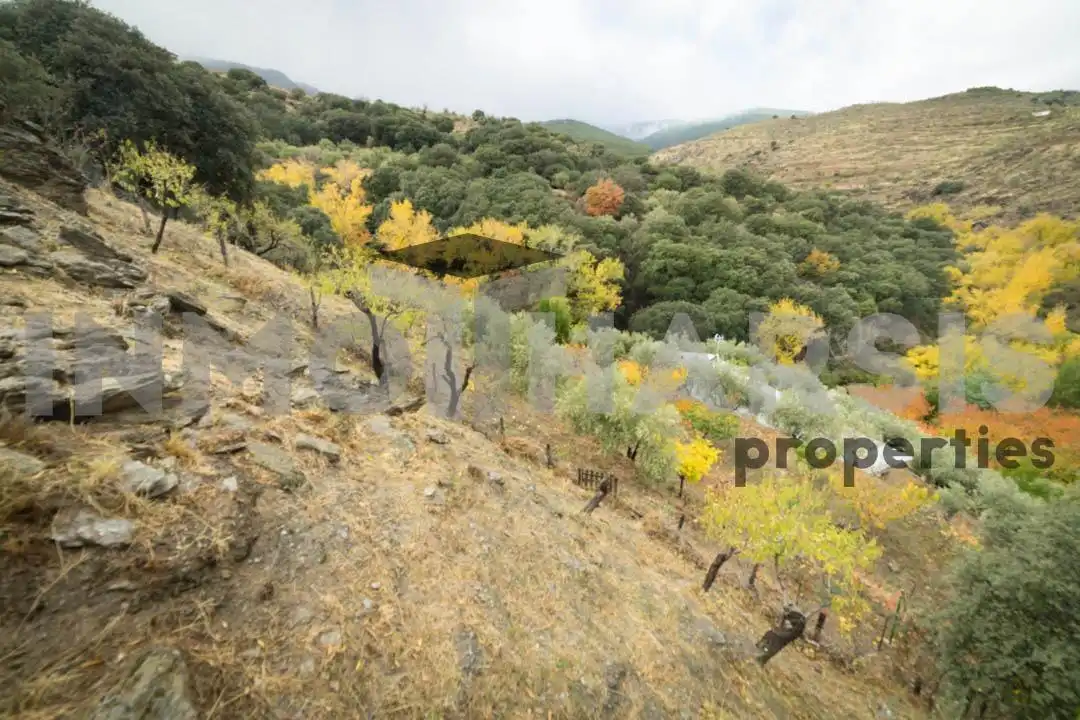 Casa o xalet en venda en Abrucena amb Jardí privat, Terrassa i Moblat