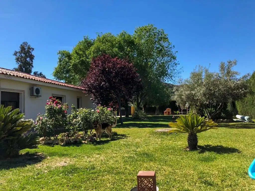 Jardín de Casa o chalet en venta en Elda con Aire acondicionado, Calefacción y Jardín privado