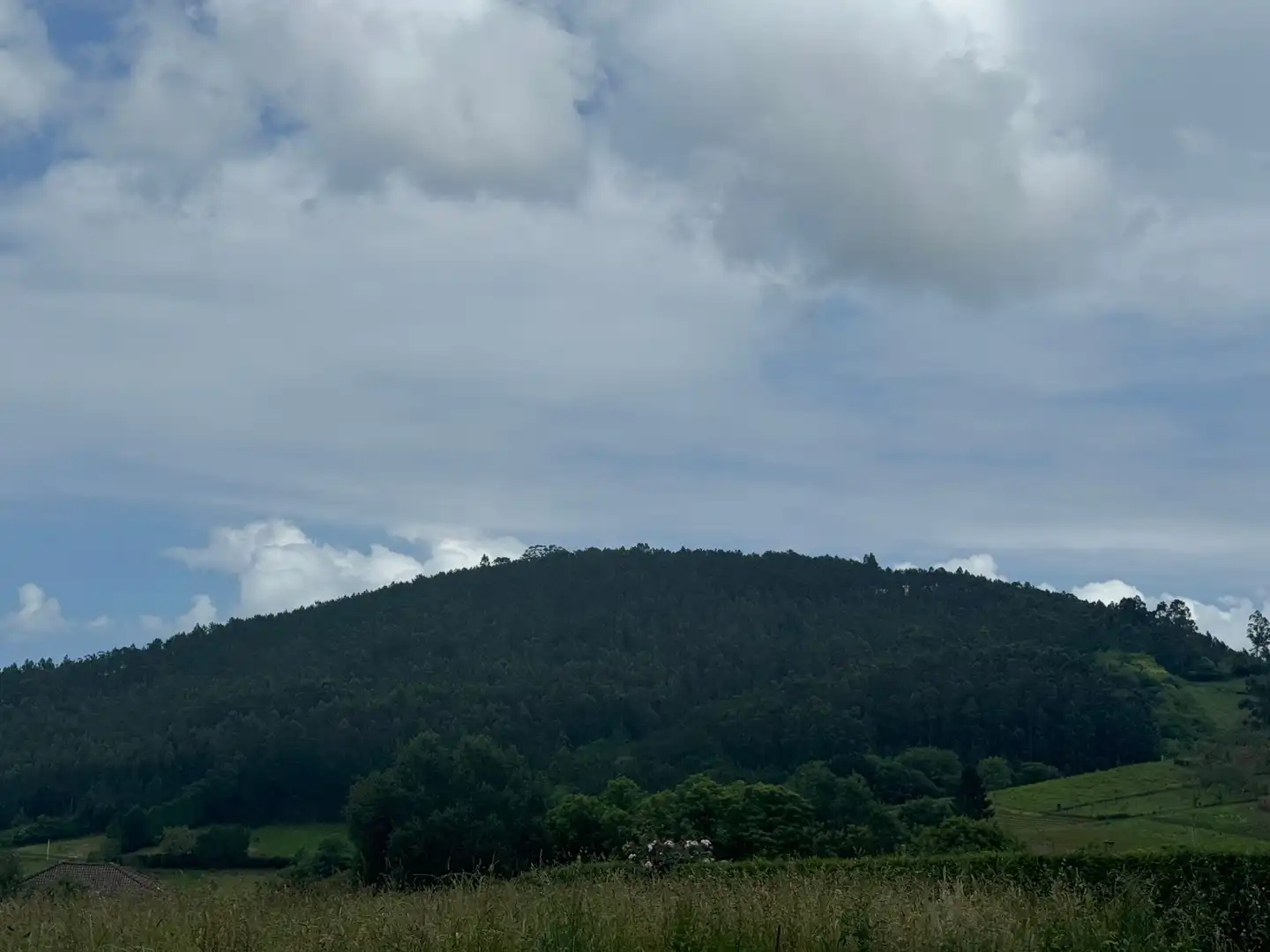 Vista exterior de Finca rústica en venta en Cudillero con Amueblado
