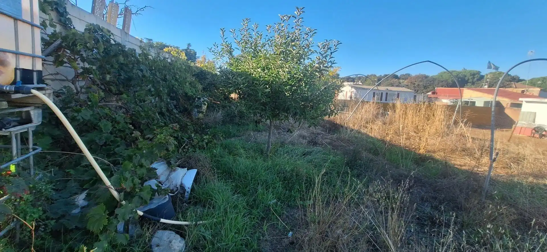 Finca rústica en venta en Cerro - Amate