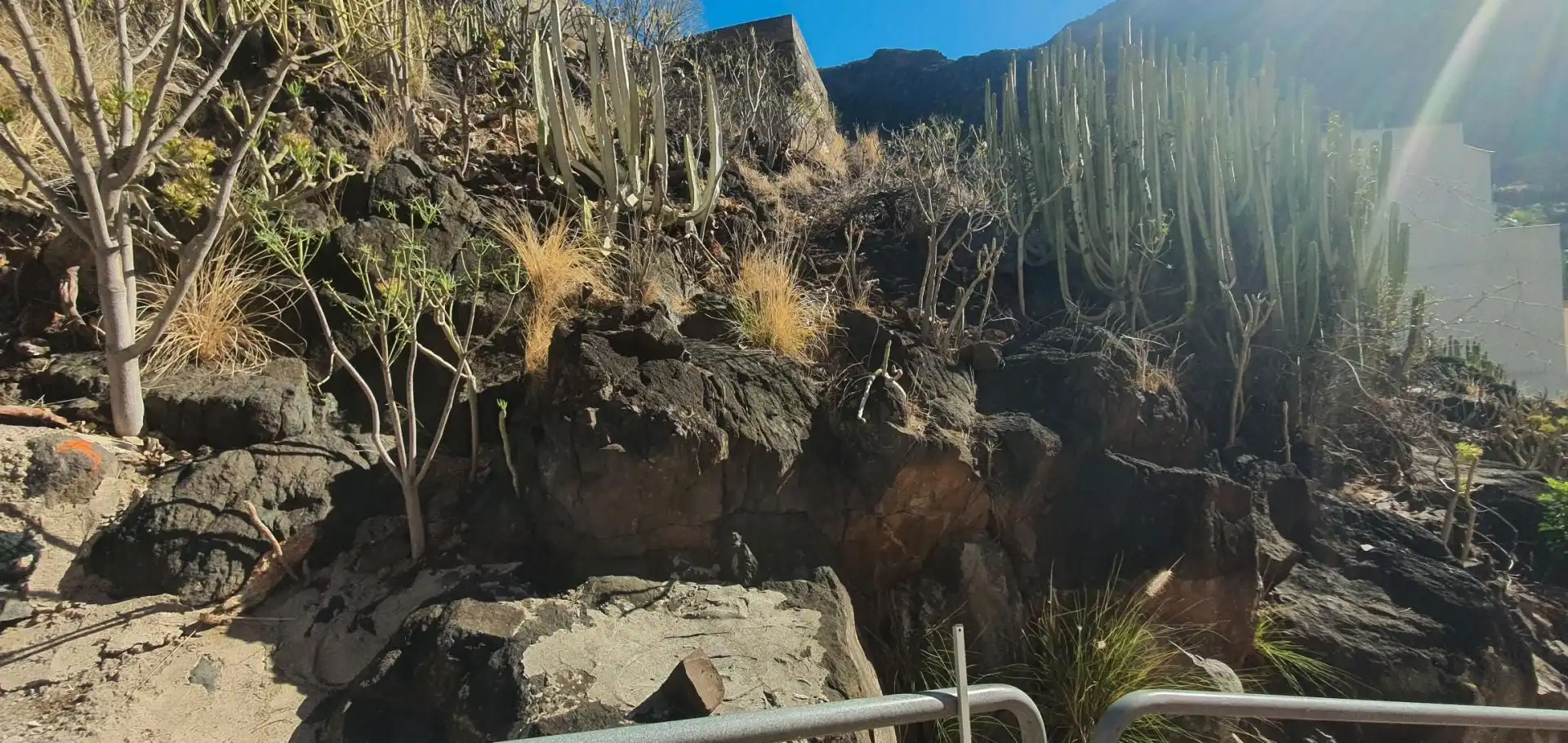 Exterior view of Residential for sale in Santa Cruz de Tenerife