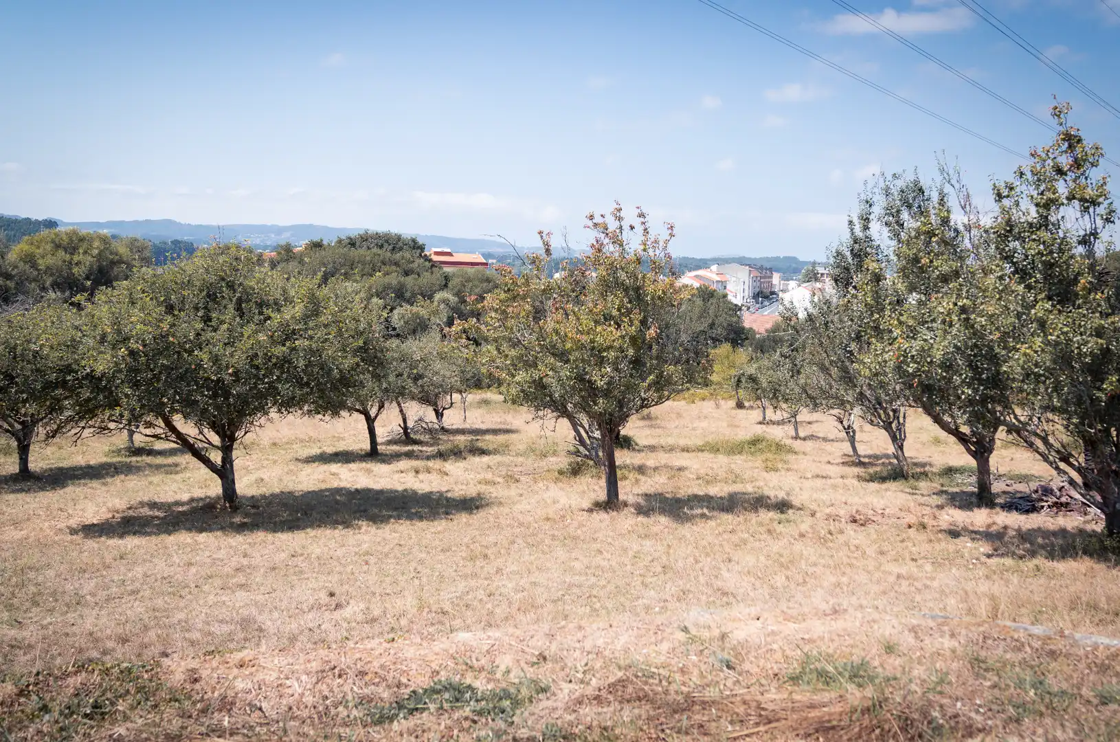 Villa à vendre à Neda, imagen 7