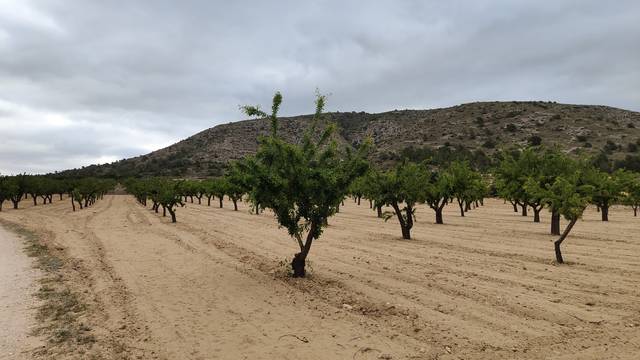 Terreno en Venta en N/A, -1 en Sax