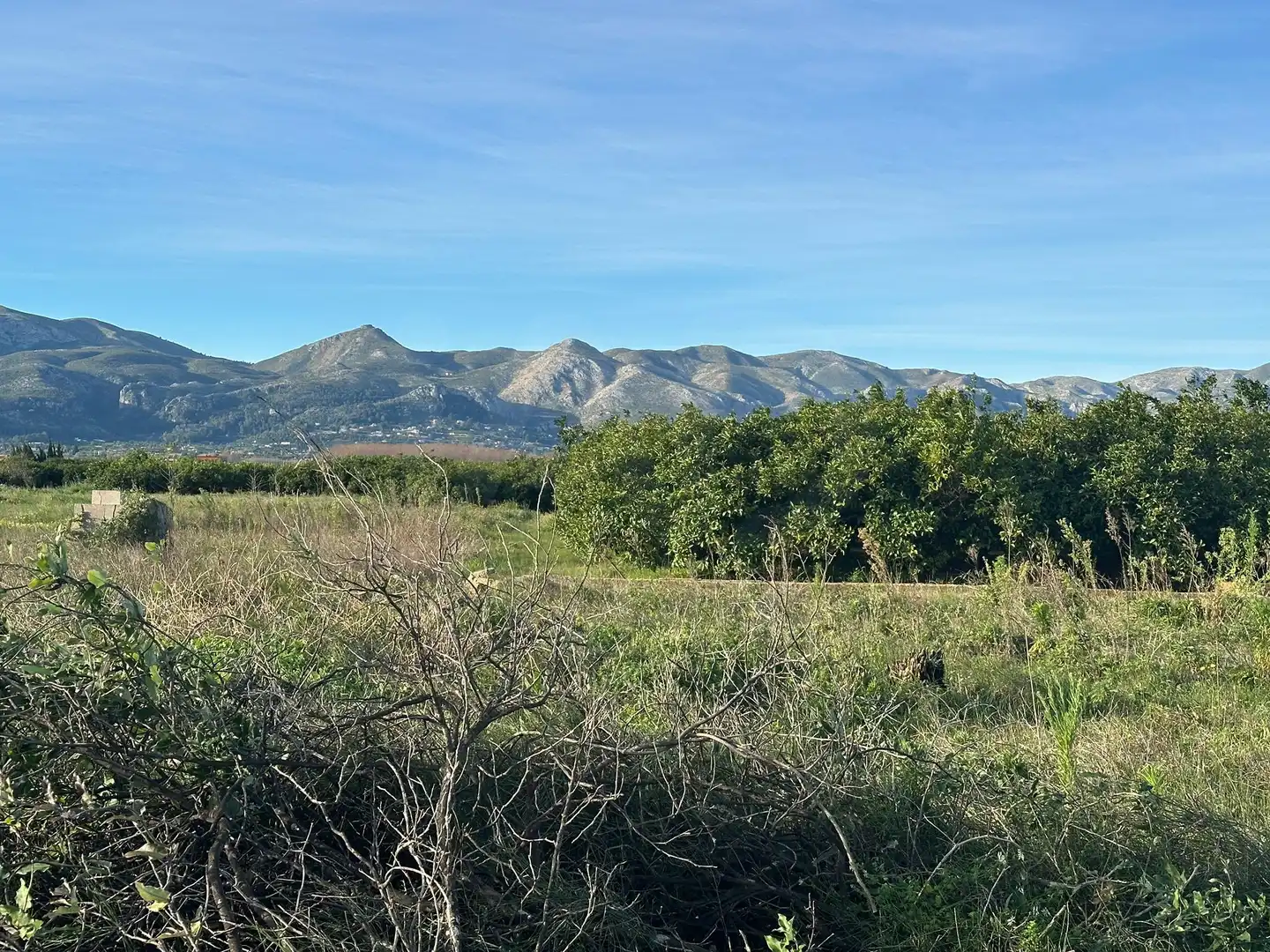 Lands and plots for sale in Pego, imagen 11